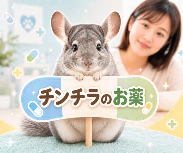 チンチラに多いお悩みとお薬一覧