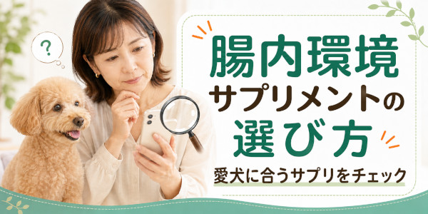 腸内環境サプリの選び方