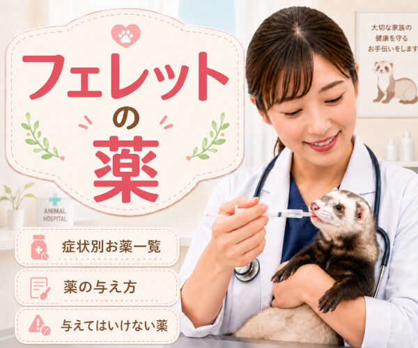 フェレットに多いお悩みとお薬一覧