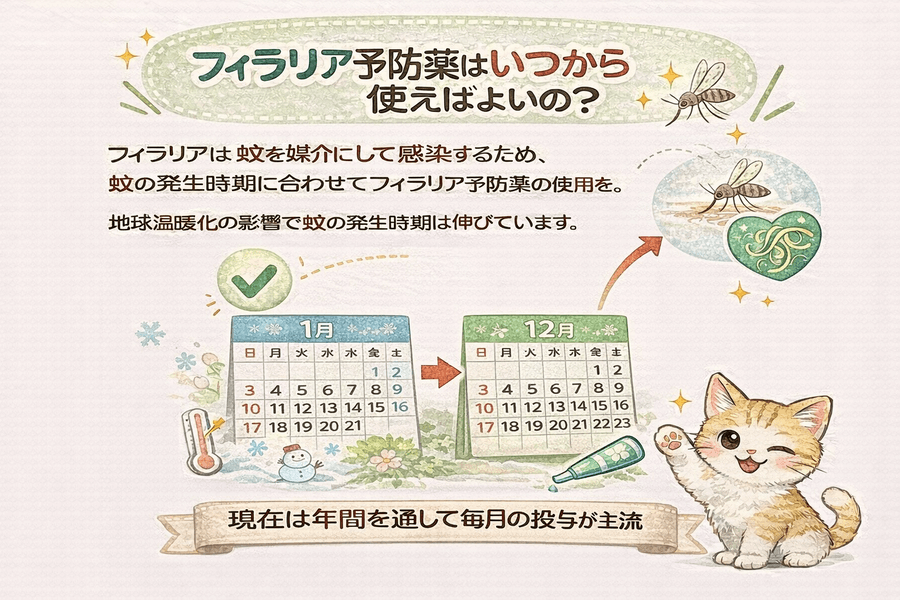猫用フィラリア予防薬の選び方