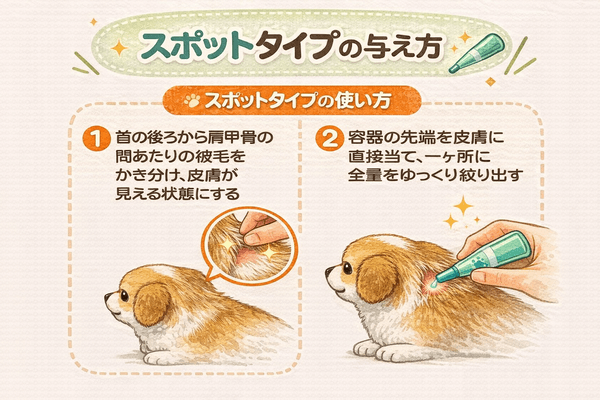スポットタイプの与え方
