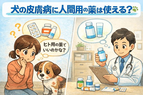 犬の皮膚病に人間用の薬は使える？