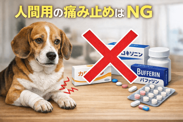 犬に市販の痛み止め（人間用の薬）をあげるのはNG