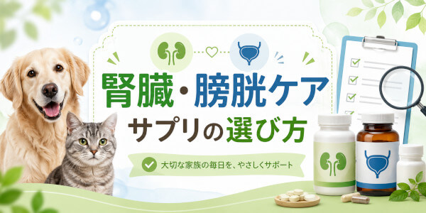 腎臓・泌尿器サプリの選び方