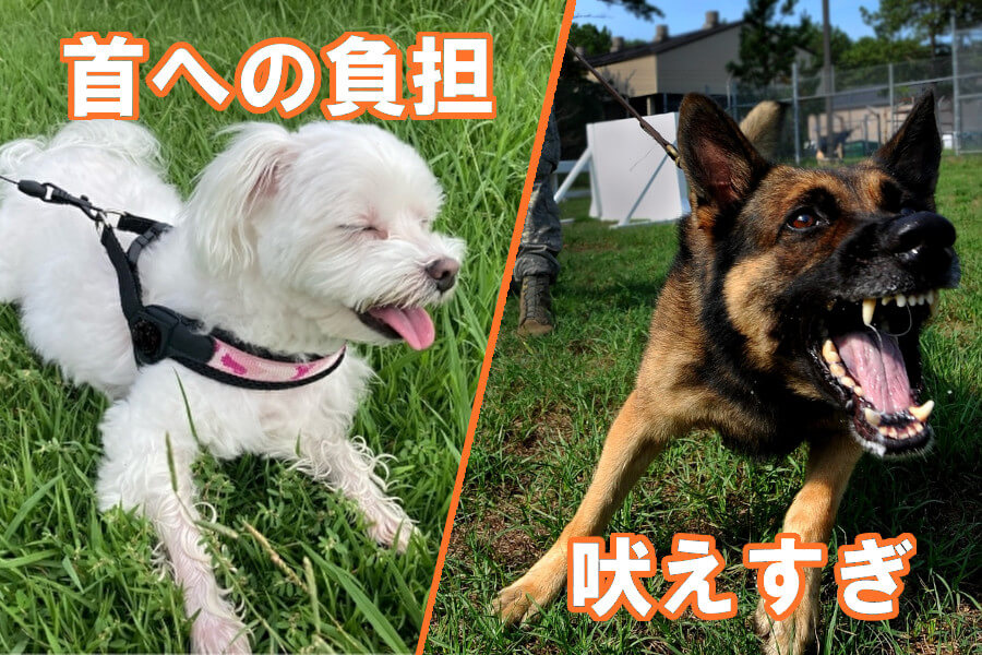 犬の気管虚脱の原因は？