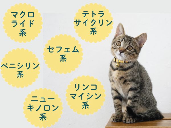 系統と有効成分で抗生物質を選ぶ