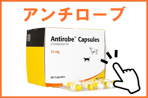 アンチローブ（クリンダマイシン）