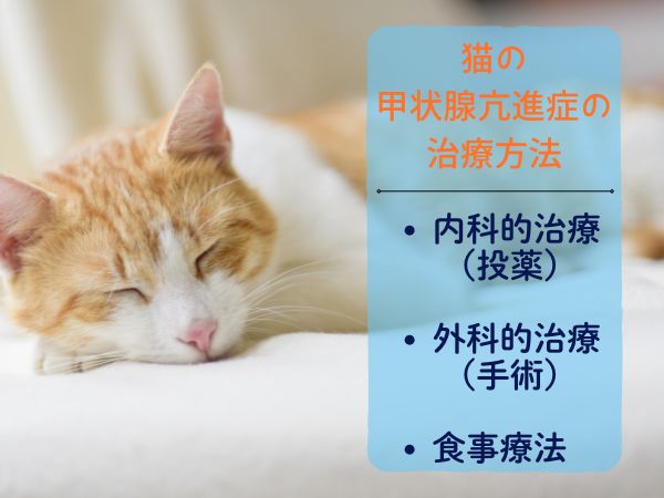 猫の甲状腺機能亢進症の治療方法