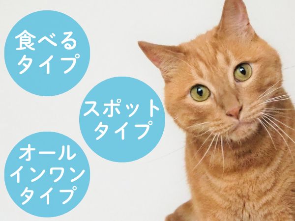 マダニ予防の選び方