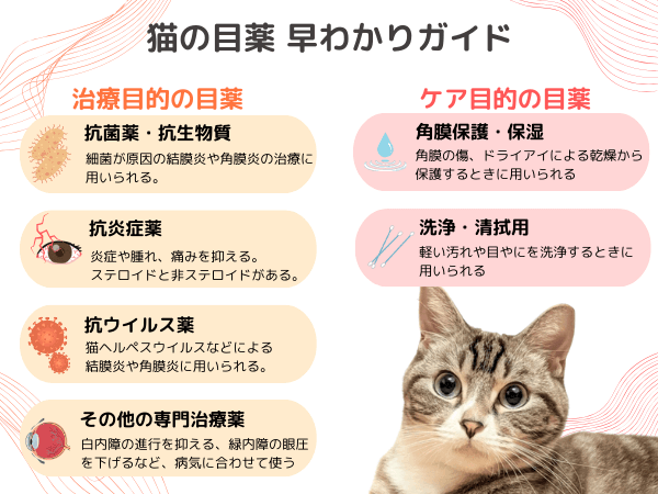 猫の目薬早わかりガイド