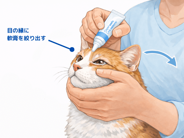 猫の眼軟膏の塗り方