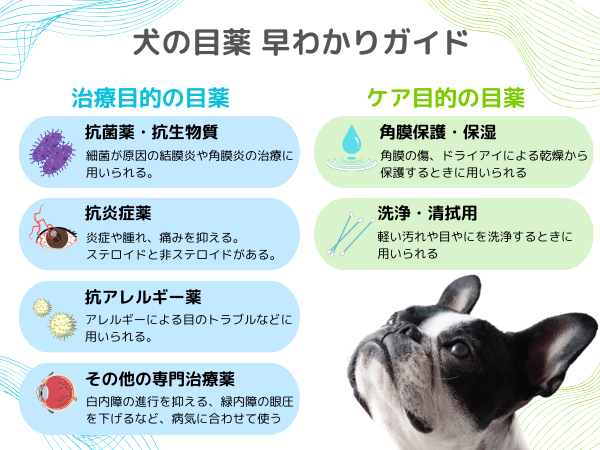 犬の目薬早わかりガイド