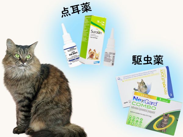 耳ダニの治療方法
