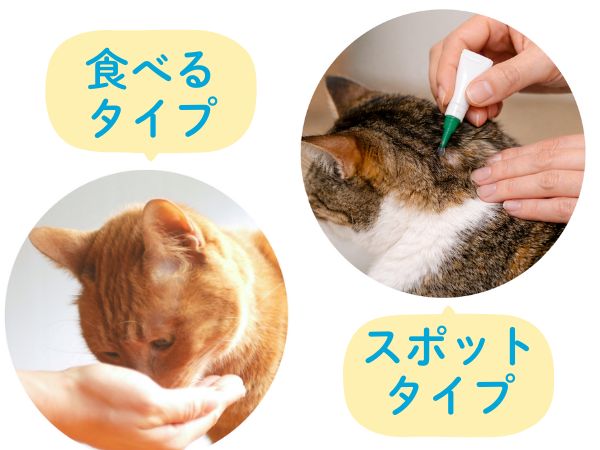 お薬のタイプで選ぶ