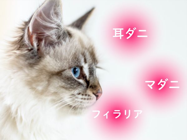 効果の範囲で選ぶ
