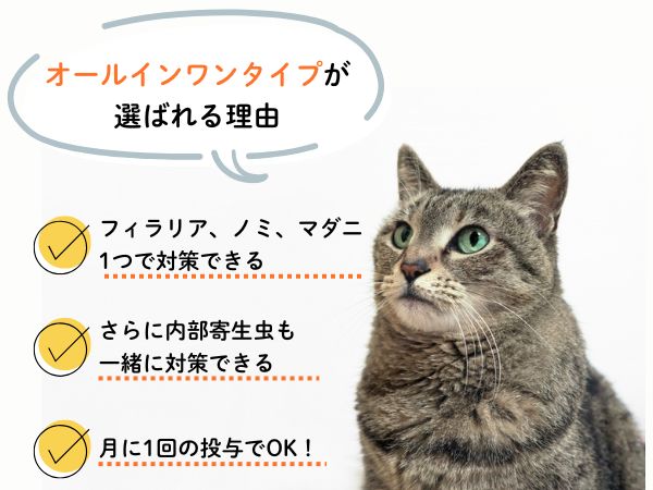 オールインワンタイプが選ばれる理由