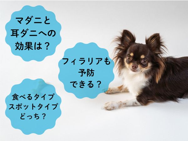 ノミダニ予防薬の選び方