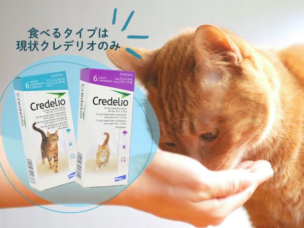 子猫もマダニ予防は必要?