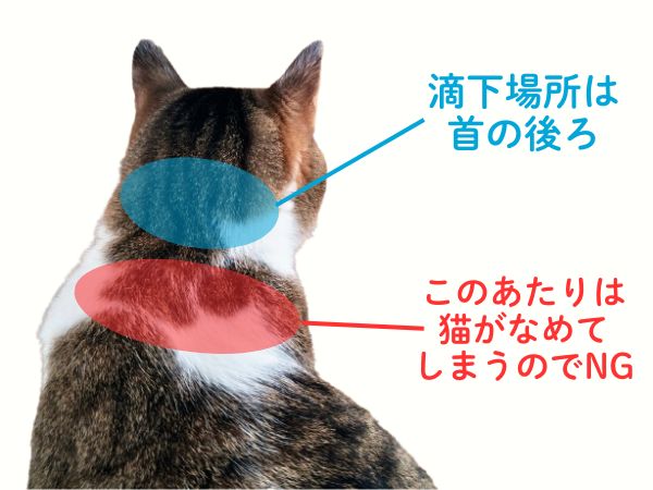 スポットタイプの使い方