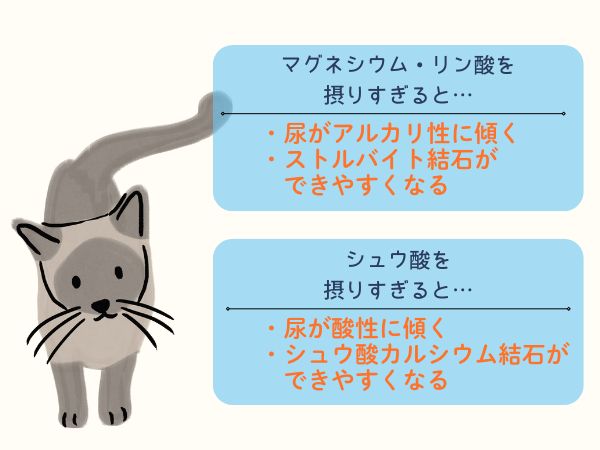 尿路結石の猫が食べてはいけない食材