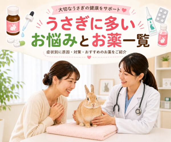 うさぎに多いお悩みとお薬一覧