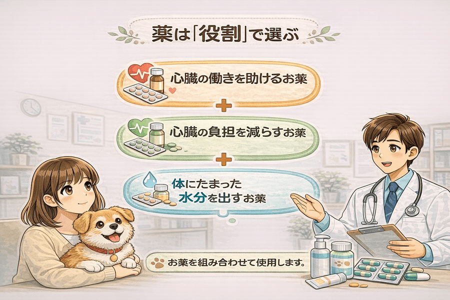 犬の心臓病の薬は「役割」で選ぶ