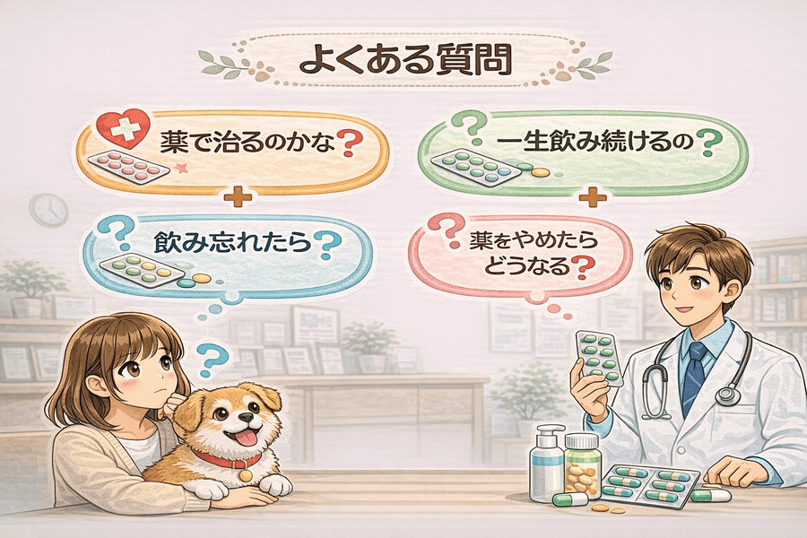 犬の心臓病の薬についてよくある質問