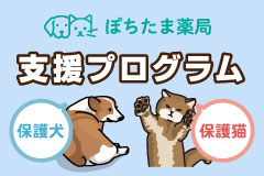 支援プログラム