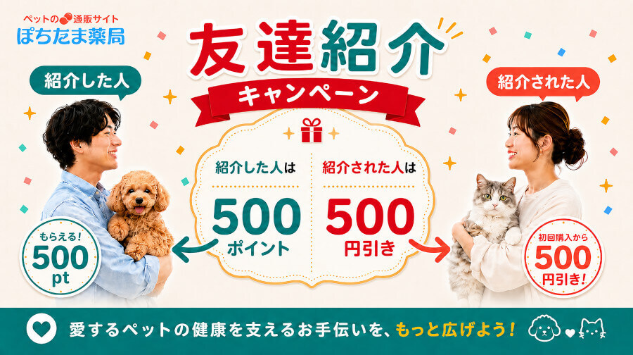 お友達紹介キャンペーン