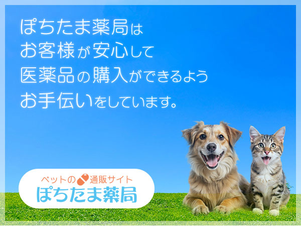 ごあいさつ