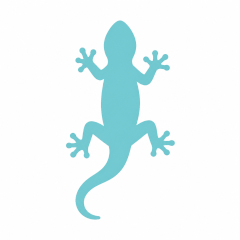 lizard