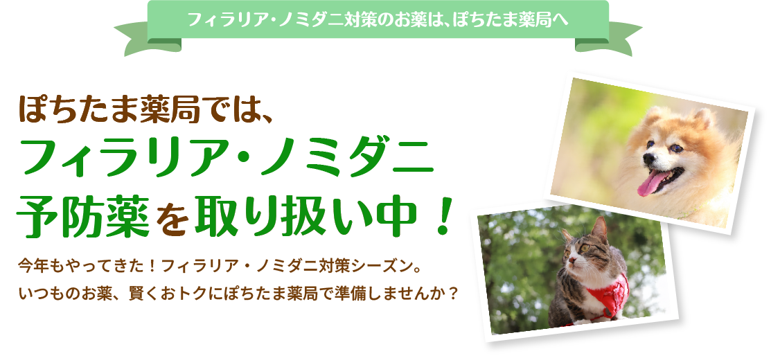 フィラリア・ノミダニ対策のお薬は、ぽちたま薬局へ