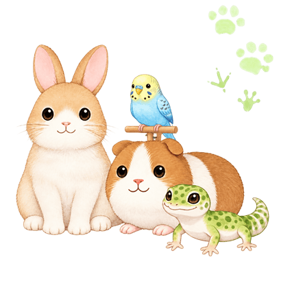 小動物