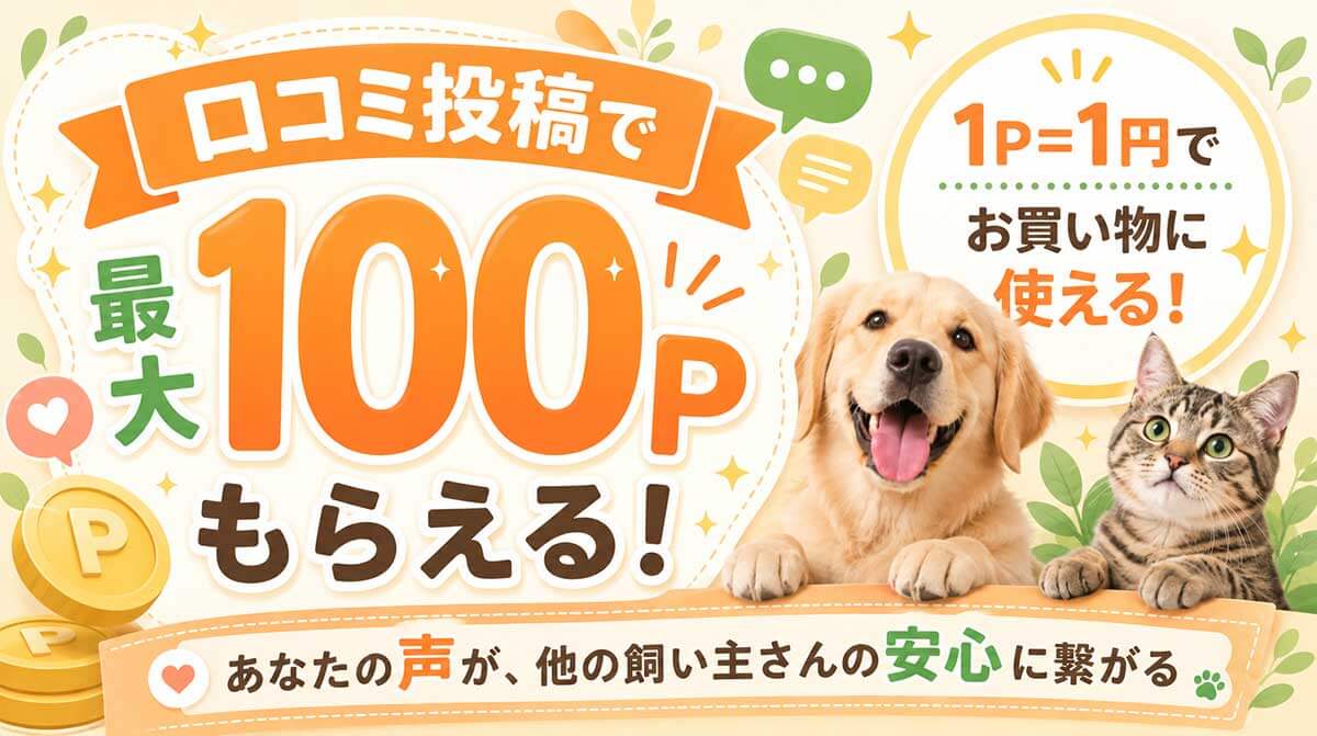 口コミ投稿で最大100ポイントがもらえるキャンペーン
