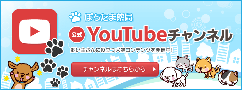 ぽちたま薬局公式YouTubeチャンネル