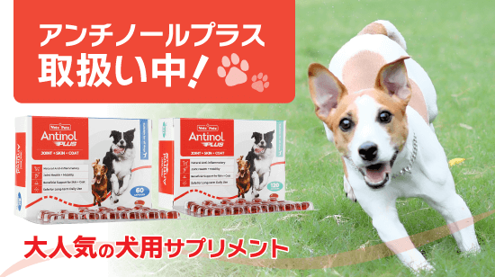 アンチノールプラス取り扱い中