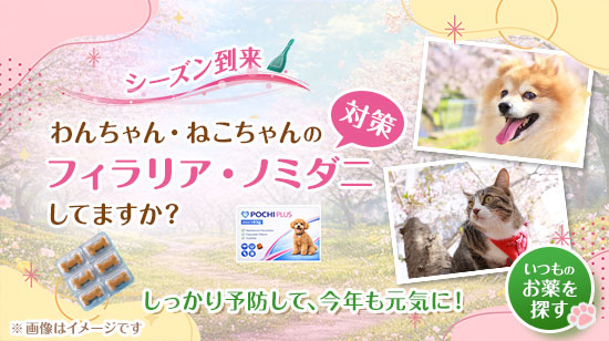 フィラリア予防・ノミダニ予防のシーズン到来
