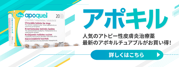 ぽちたま薬局｜ペットのお薬通販｜犬猫｜レボリューション