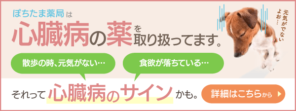 ぽちたま薬局｜ペットのお薬通販｜犬猫｜レボリューション