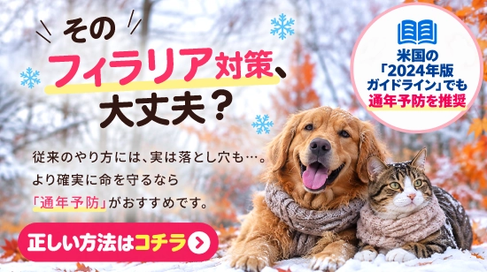 フィラリア・ノミダニの通年予防