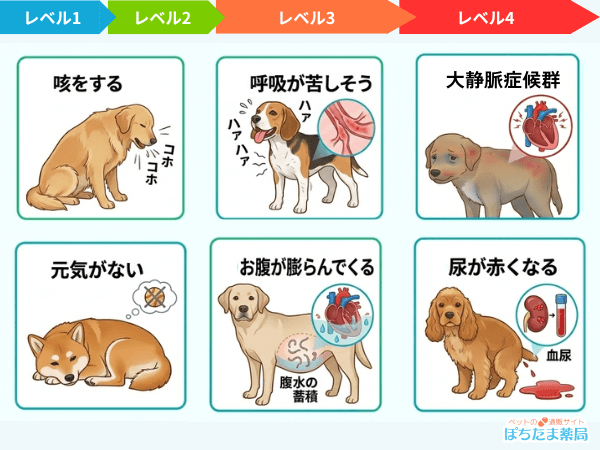犬のフィラリア症状