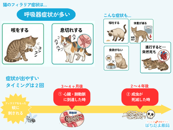 猫のフィラリア症状