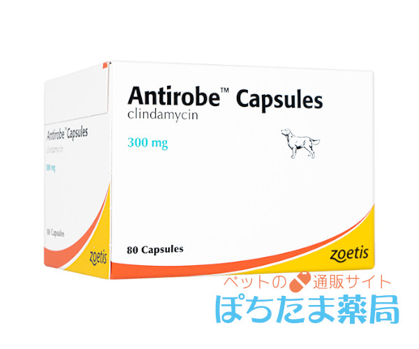 アンチローブ(ビルデンタマイシン錠同成分)