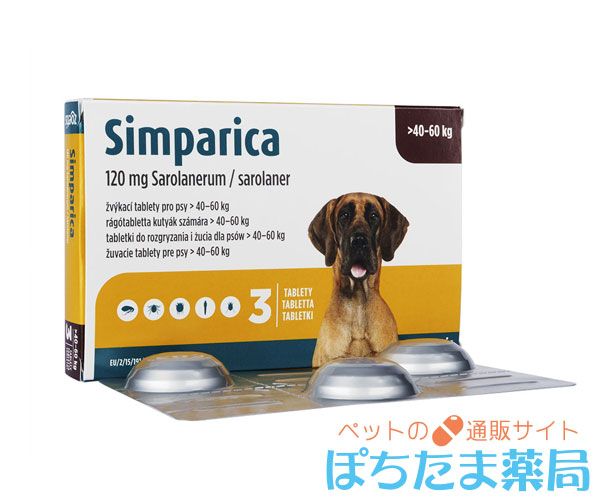 シンパリカ