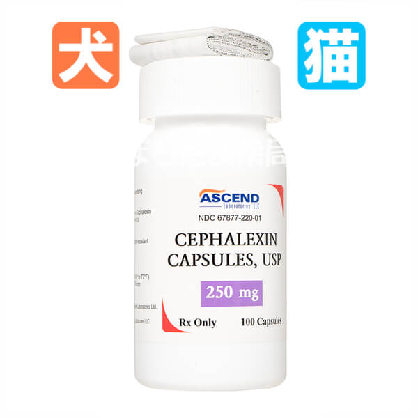 セファクリア（セファレキシン） 250mg100錠 1 本