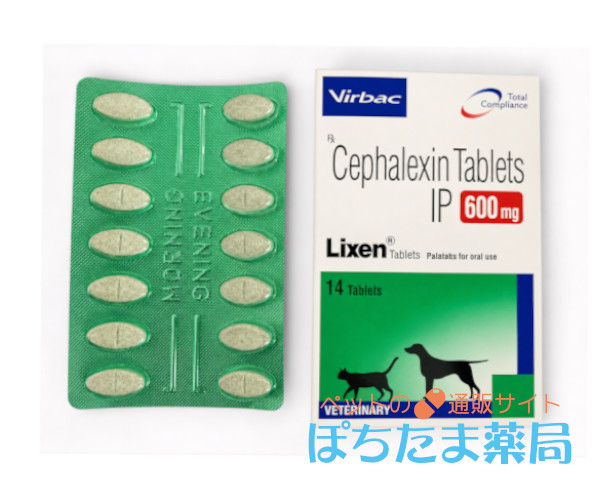 リレキシペット（セファセプチン錠同成分）