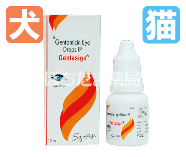 ゲンタマイシン点眼液（ゲンタシン） 10ml 1 本