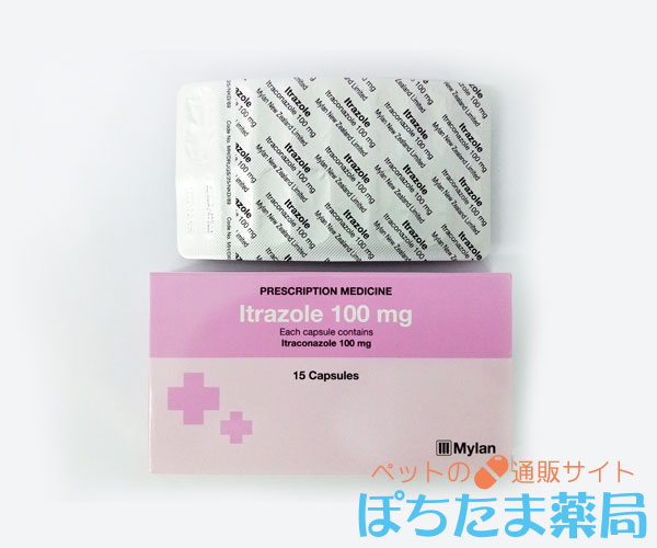 イトラコナゾール（亀の水カビ病治療薬）