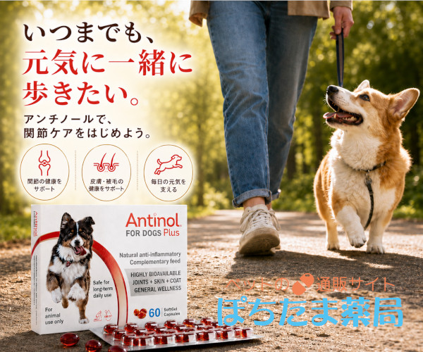 アンチノールプラス犬用（関節の健康維持・日常ケアに）