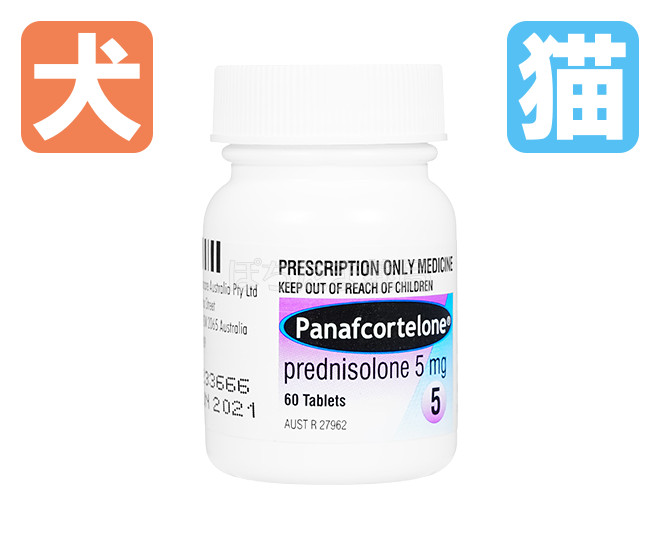パナフコルテロン錠（プレドニゾロン）